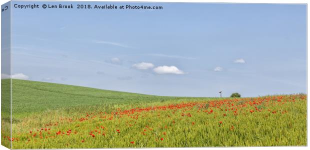 Poppy Fields of North Lancing Canvas Print by Len Brook
