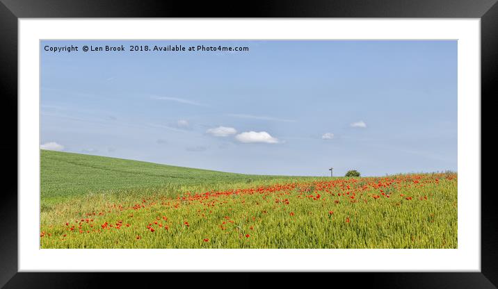 Poppy Fields of North Lancing Framed Mounted Print by Len Brook