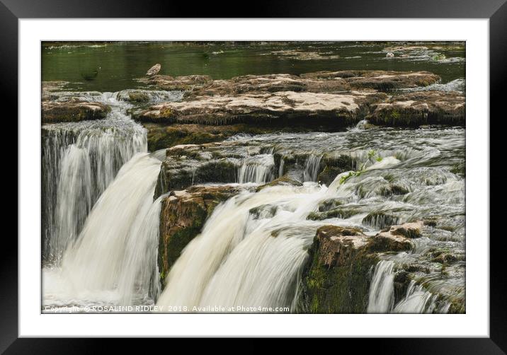 "The Falls" Framed Mounted Print by ROS RIDLEY