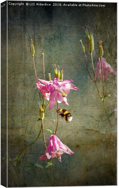 Bee Happy Canvas Print by LIZ Alderdice