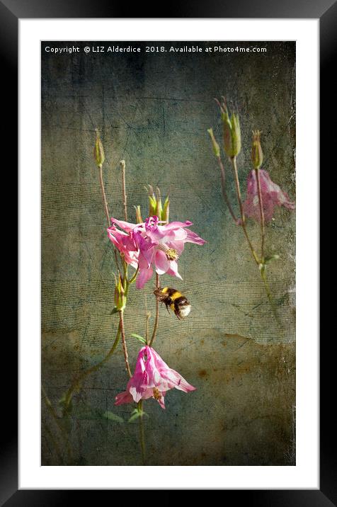 Bee Happy Framed Mounted Print by LIZ Alderdice