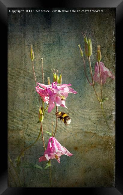 Bee Happy Framed Print by LIZ Alderdice