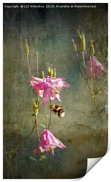 Bee Happy Print by LIZ Alderdice
