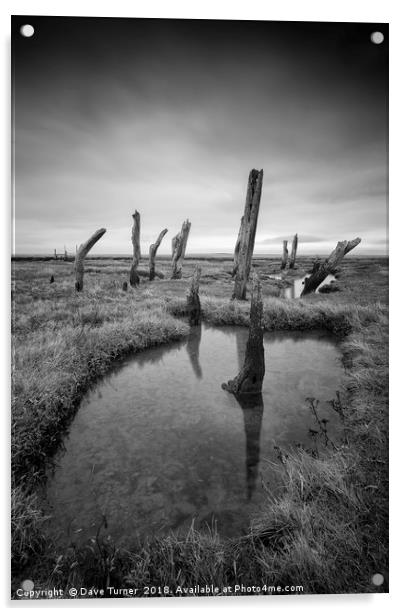 Thornham Marsh, Norfolk Acrylic by Dave Turner