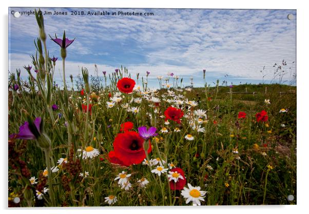 English Wild Flowers (1) Acrylic by Jim Jones