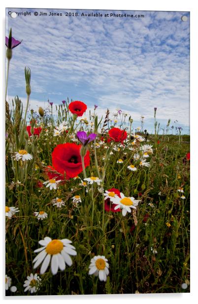 English Wild Flowers (2) Acrylic by Jim Jones