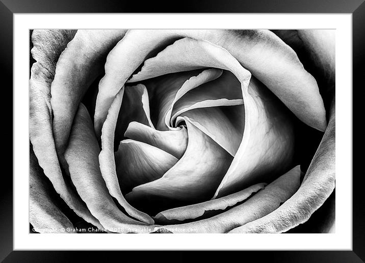 Petals Framed Mounted Print by Graham Chance