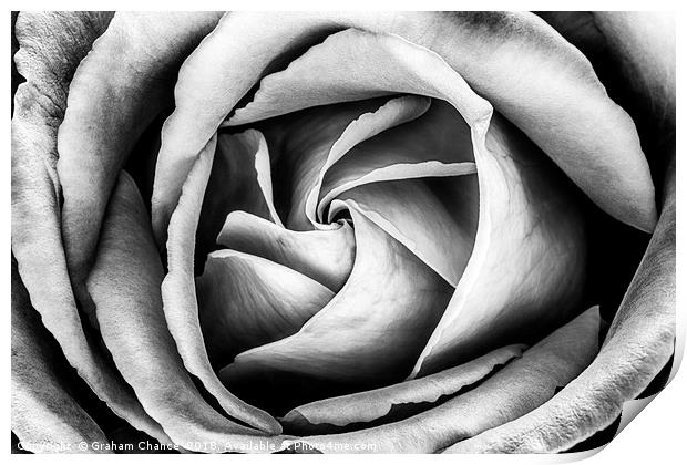 Petals Print by Graham Chance