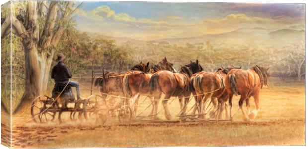 Days in the Dust Canvas Print by Trudi Simmonds
