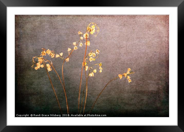 Faded From The Valley Framed Mounted Print by Randi Grace Nilsberg