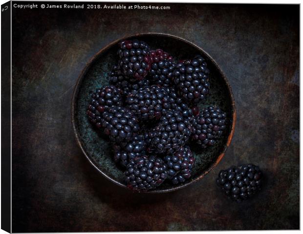Blackberry Bowl Canvas Print by James Rowland