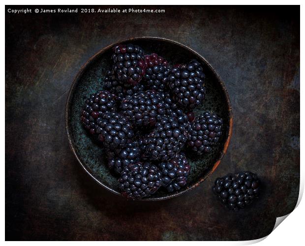 Blackberry Bowl Print by James Rowland