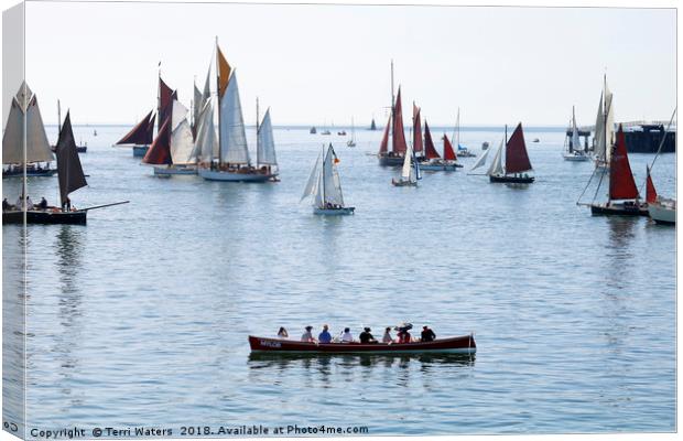 Mylor Gig at the Falmouth Classics Parade Canvas Print by Terri Waters