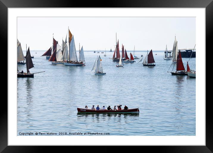 Mylor Gig at the Falmouth Classics Parade Framed Mounted Print by Terri Waters