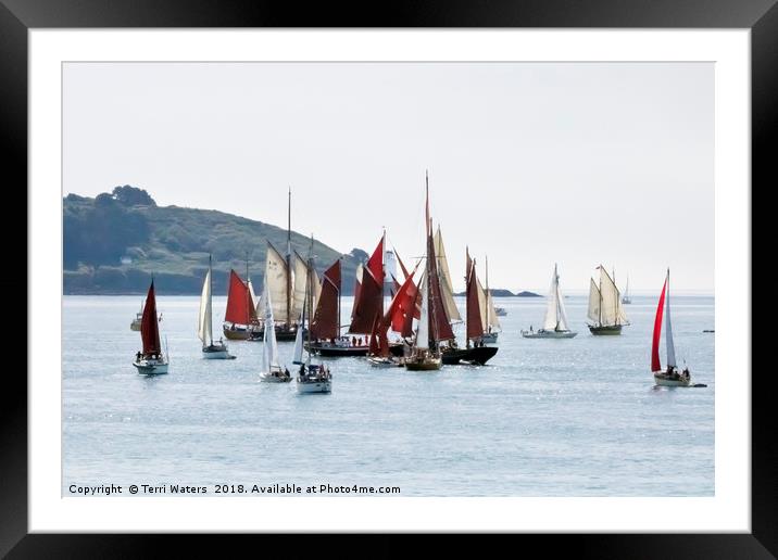 Falmouth Parade of Sail and Power Framed Mounted Print by Terri Waters