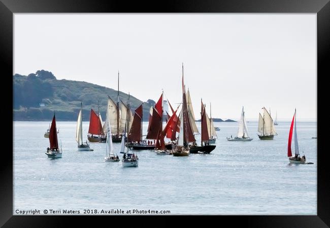 Falmouth Parade of Sail and Power Framed Print by Terri Waters
