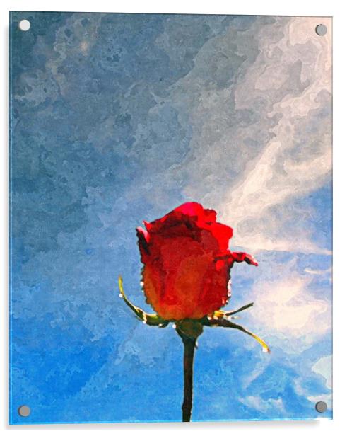 single rose Acrylic by dale rys (LP)