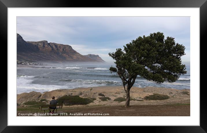 Taking a break, Cape peninsula, South Africa Framed Mounted Print by David O'Brien