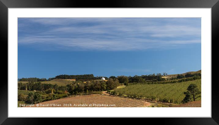 Winery Landscape, Hermanus, South Africa Framed Mounted Print by David O'Brien
