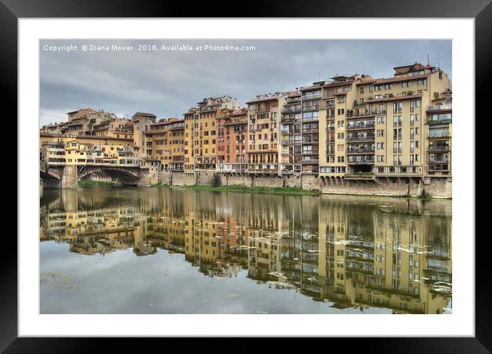 The river Arno Florence Framed Mounted Print by Diana Mower