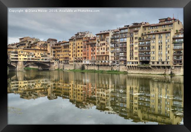 The river Arno Florence Framed Print by Diana Mower