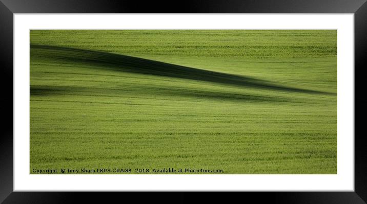 SOUTH DOWNS SHADOWS Framed Mounted Print by Tony Sharp LRPS CPAGB