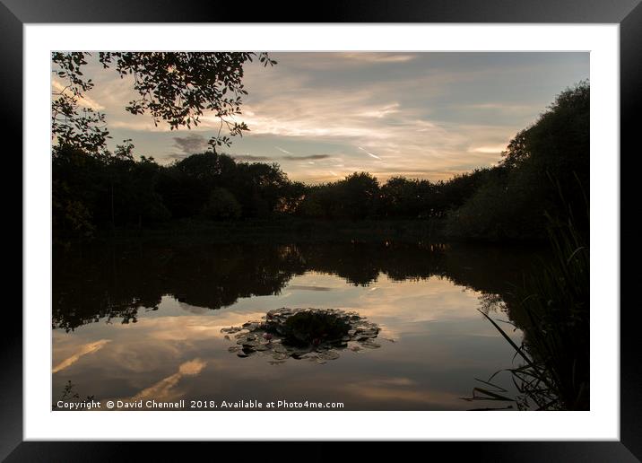 Gilroy Nature Park Golden Hour Framed Mounted Print by David Chennell