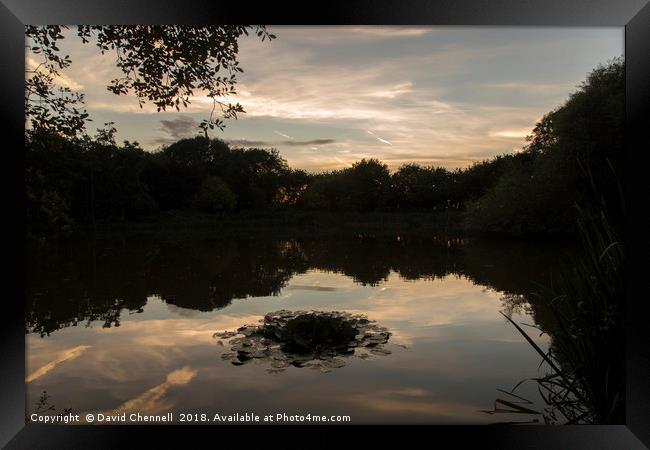 Gilroy Nature Park Golden Hour Framed Print by David Chennell