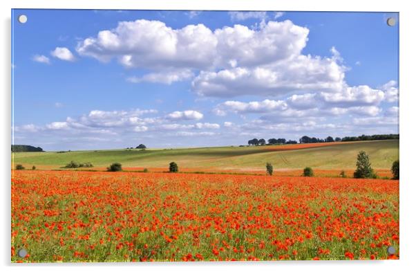 Poppy fields  Acrylic by Gary Pearson