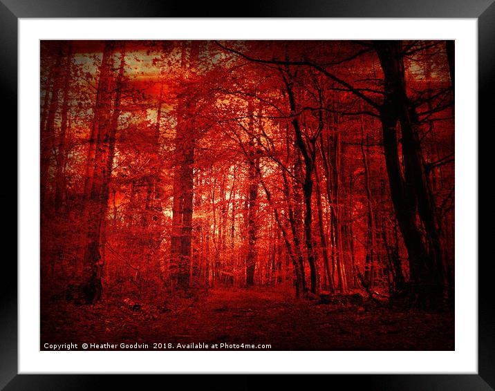 Forest Awakening Framed Mounted Print by Heather Goodwin