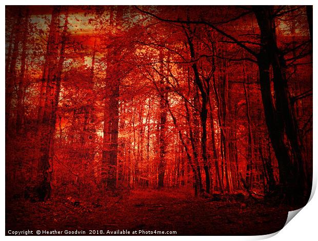 Forest Awakening Print by Heather Goodwin