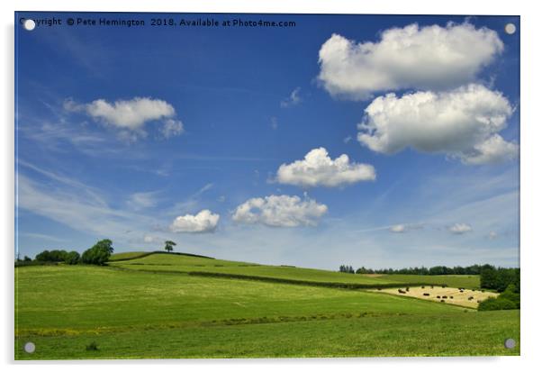 Rural Devon Scene Acrylic by Pete Hemington