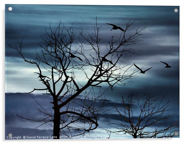 Night Nature Scene Background Acrylic by Daniel Ferreira-Leite