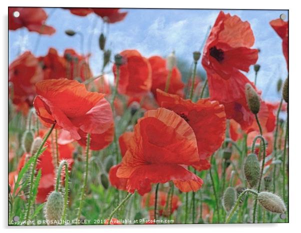 "Arty Poppies" Acrylic by ROS RIDLEY
