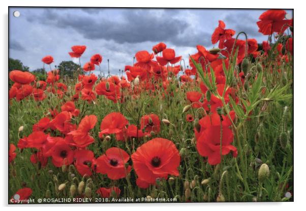 "Stormy skies over the Poppy field" Acrylic by ROS RIDLEY