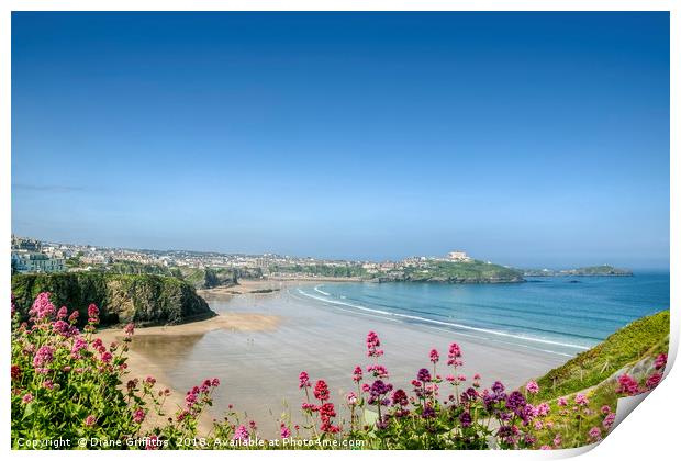 View over Newquay Print by Diane Griffiths