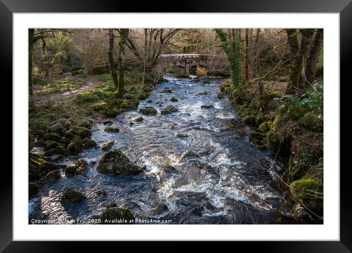 River Plym at Shaugh Bridge Framed Mounted Print by Jean Fry