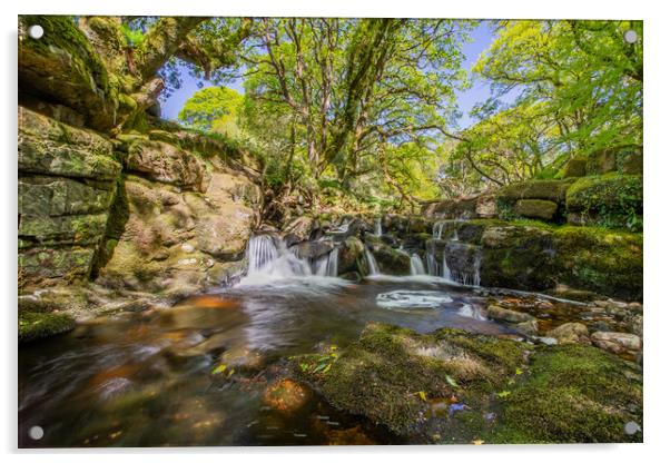 River Avon, Dartmoor Acrylic by Images of Devon