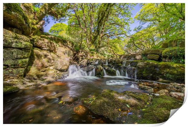 River Avon, Dartmoor Print by Images of Devon