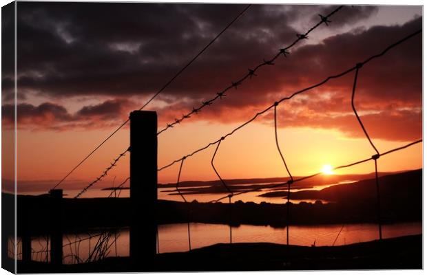 Fence In The Sunset at Uradale, Shetland. Canvas Print by Anne Macdonald