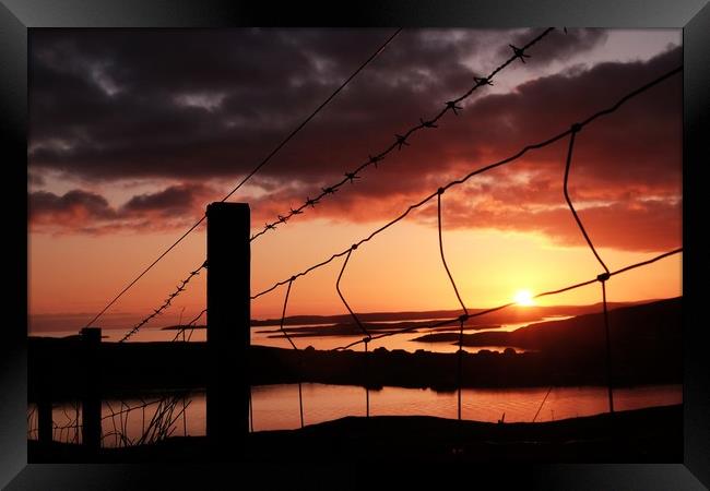 Fence In The Sunset at Uradale, Shetland. Framed Print by Anne Macdonald