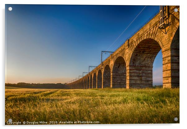 The Almond Valley Viaduct Acrylic by Douglas Milne