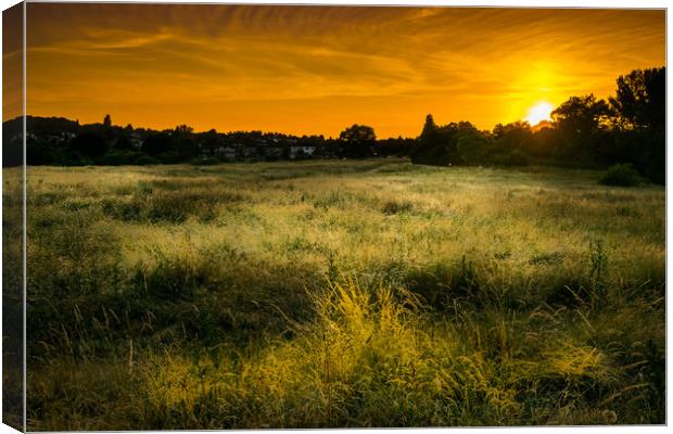 Sunset at East Wickham Canvas Print by Mike Lanning