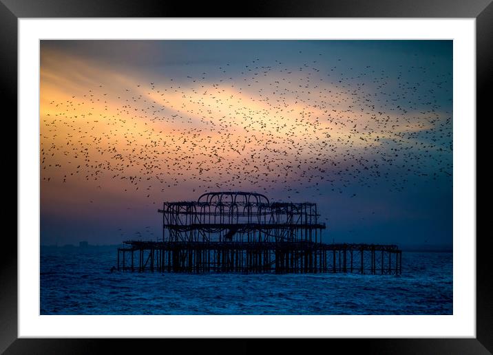 West Pier Murmuration At Sunset Framed Mounted Print by Chris Lord