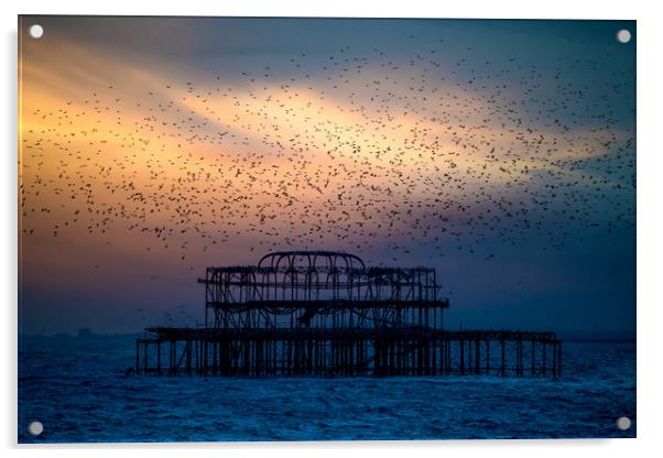 West Pier Murmuration At Sunset Acrylic by Chris Lord