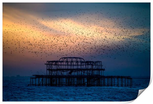 West Pier Murmuration At Sunset Print by Chris Lord
