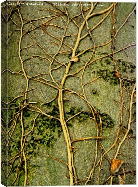 Tree Art Canvas Print by Martyn Arnold