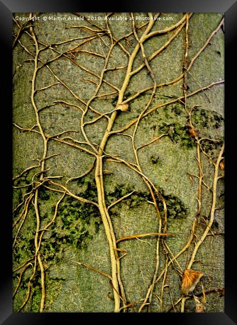 Tree Art Framed Print by Martyn Arnold