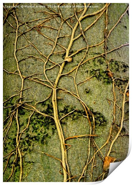 Tree Art Print by Martyn Arnold