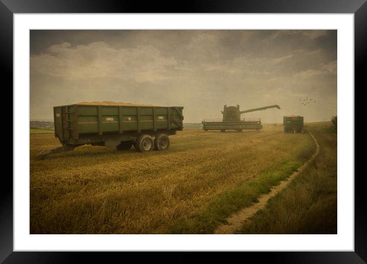 August Harvest On The South Downs Near Brighton Framed Mounted Print by Chris Lord